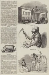 Skizzen aus Indien (Stich)