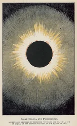 Sonnenkorona und Protuberanzen, wie von Professor Pritchard und Herrn De La Rue gesehen und gemessen