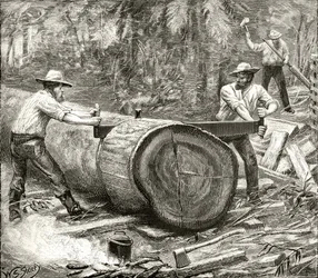 Holzspalter im Busch, um 1880, aus 