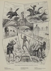 Seltsame Waffen und seltsamere Methoden, sie zu benutzen (Gravur)