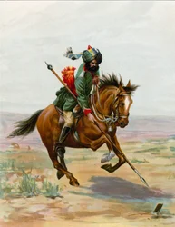Zeltpflocken