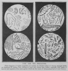 Die Luft, die wir atmen