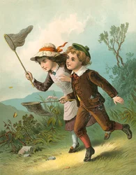 Die Schmetterlingsjagd