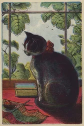 Die Katze
