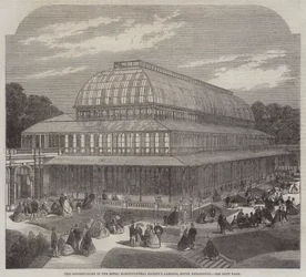 Das Konservatorium in den Gärten der Royal Horticultural Society, South Kensington (Gravur)