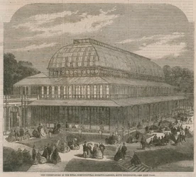 Das Gewächshaus in den Gärten der Königlichen Gartenbaugesellschaft, South Kensington