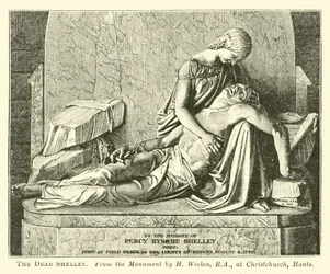 Der tote Shelley