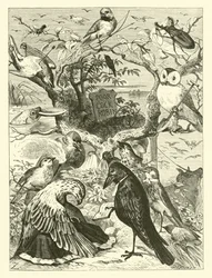 Der Tod und das Begräbnis von Cock Robin
