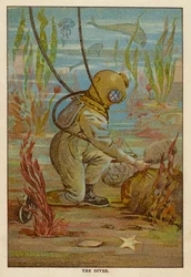 Der Taucher
