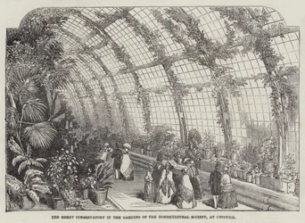 Das große Konservatorium in den Gärten der Horticultural Society in Chiswick