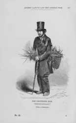 Der Gänseblümchenmann