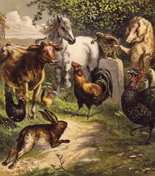 Der Hase und die Schildkröte