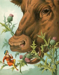 Die Geschichte von Tom Thumb