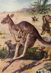 Die Jagd (Farblithografie)