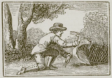 Der Landmann und der Storch