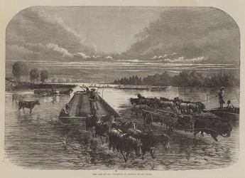 Das Land des Öls, Transport von Fässern auf dem Oil Creek (Stich)