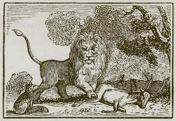 Der Löwe, der Esel und der Fuchs