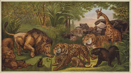 Der Empfang des Löwen (Farblithografie)