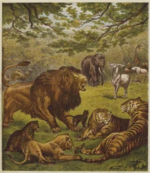 Der Empfang des Löwen (Farblithografie)