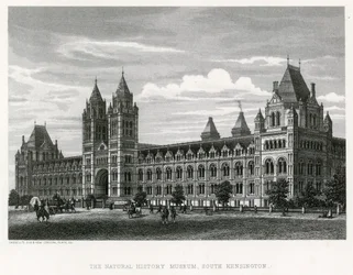 Das Naturhistorische Museum, 1881