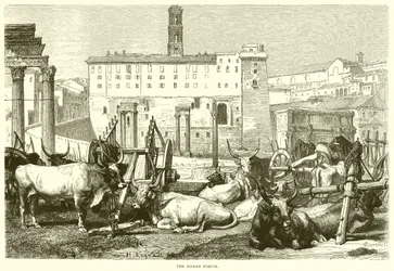 Das Forum Romanum