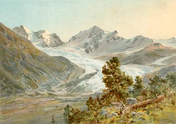 Der Rosegg-Gletscher