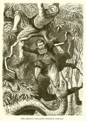 Die Schlange verschlingt Sindbads Gefährten