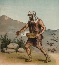 Der Sämann