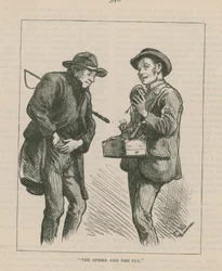 Die Spinne und die Fliege