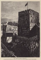 Der Turm von David, Phasaelus