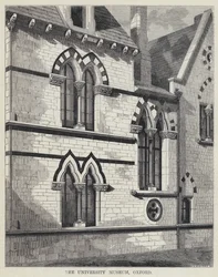 Das Universitätsmuseum, Oxford