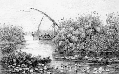 Die Schiffe in der Gras-Barriere, aus 