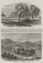 Der Krieg in Neuseeland (Gravur)