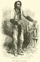 Der Wolf, ein Ute-Indianer