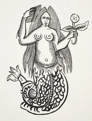 Das Wunder der Wunder, Illustration aus Chap-books of the Eighteenth Century von John Ashton, veröffentlicht 1882