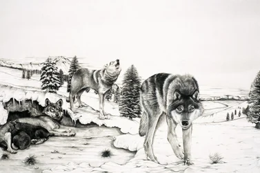 Die Welt der Natur: Der 