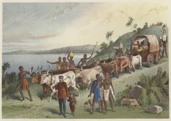 Die Ankunft am Lake Ngami