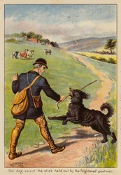 Der Hund ergriff den Stock, den der verängstigte Postbote hielt