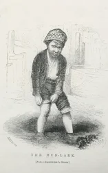 Der Schlamm-Lark