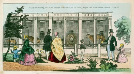 Das neue Gebäude unter der Terrasse, gebaut für Löwen, Tiger und andere ähnliche Tiere