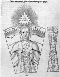 Die Wissenschaft der Horoskopstellung, aus 