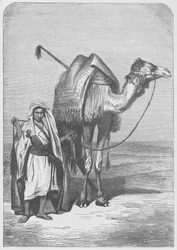 Das Schiff der Wüste