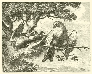 Der kranke Drache (Gravur)