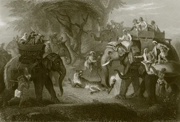 Die Tigerjagd