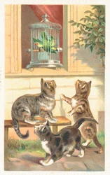 Drei Katzen sitzen unter einem Fenster