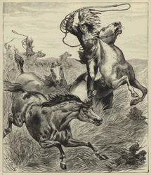 Das Lasso werfen