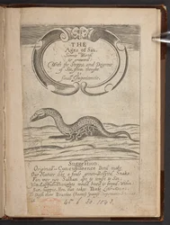 Titelseite von The Ages of sin, or, Sinnes birth & growth