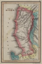 Stamm Ascher (farbige Gravur)