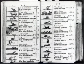 Zwei Seiten aus Orbis Sensualium Pictus von Comenius, 1659
