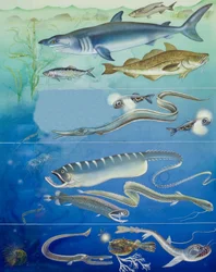 Unterwasser-Kreaturen-Montage